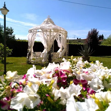 Apartment In Montecarlo Lucca - Toskana 23965 San Piero in Campo (Tuscany)