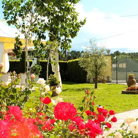 In Montecarlo Lucca - Toskana 23965 San Piero in Campo (Tuscany)