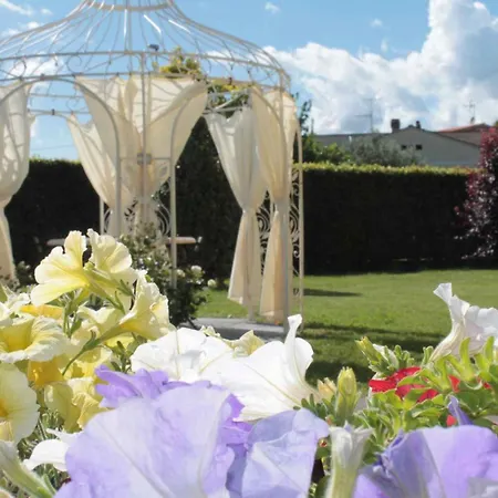 Apartamento In Montecarlo Lucca - Toskana 23965