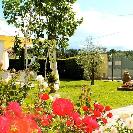 In Montecarlo Lucca - Toskana 23965