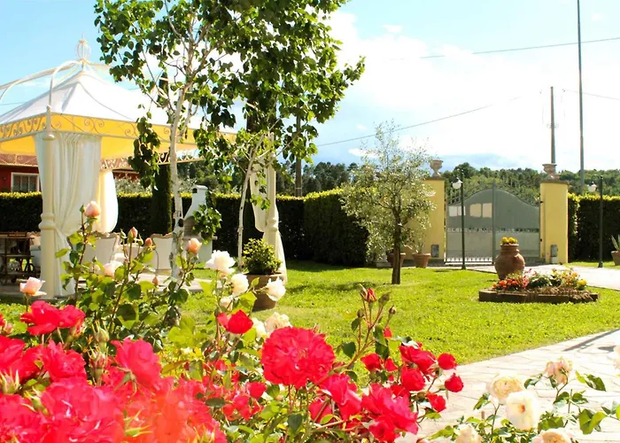 In Montecarlo Lucca - Toskana 23965 San Piero in Campo (Tuscany)